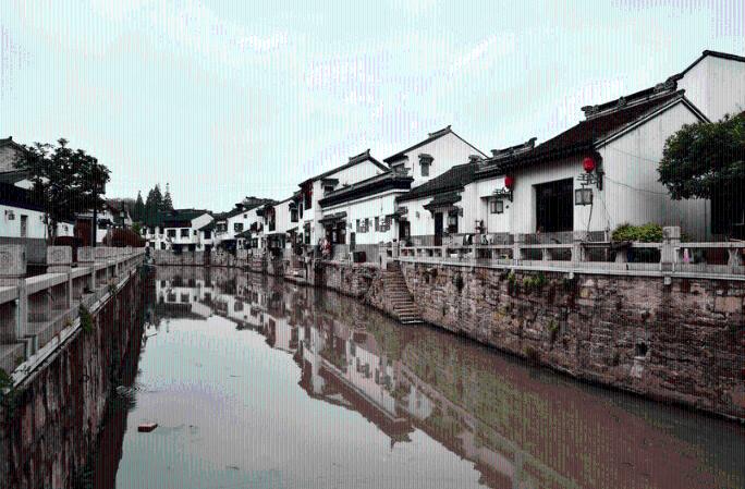 解救金刚鹦鹉